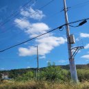 꼬꼬야 | 빵투랑 쇼핑갔다가 진숭이네서 눈병얻고 🍗꼬꼬야🍗간 후기