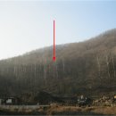 도척면 도웅리 269-1 이미지