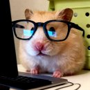 X-GAMES | 콜로소 테크니컬 아티스트 Vincent 강의 후기 | 일요일을 바쳤습니다 최종편 <6>