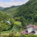 영월전원부동산공인중개사사무소 이미지