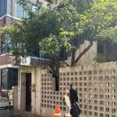 홈가든박 이미지