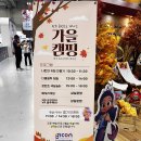 주식회사 핑고엔터테인먼트 이미지