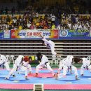 수리온태권도 이미지