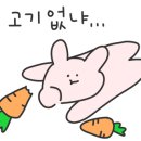 오늘잡은돼지 이미지