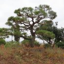 농공단지길 이미지