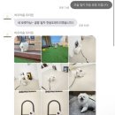 논현 켄넬 이미지