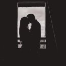 까치와 산토리나 이미지