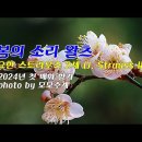 2024년 첫 매화 향기 & 봄의 소리 왈츠 (Voice of Spring, Op. 410 ) / 요한 스트라우스 2세 & photo 이미지