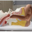 복음보청기 강서센터 이미지