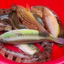 중앙전통시장 이미지