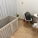 천사펫하우스 이미지