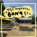 애견카페 봉구 BON9 후기