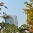 한국가스공사구내식당 | 늦은 11월 일상 / 한국지능정보사회진흥원 NIA 체험형 청년인턴 한달 근무 후기