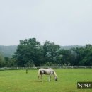 은아목장 이미지