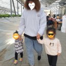 구교농장 네이버블로그