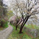 감동벼룻길 이미지