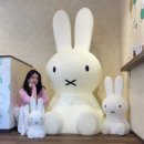 후쿠오카 쇼핑 리스트 : 비비안 웨스트우드, GU, 폴로 양말, 이모야 킨지로, 다이소, 돈키호테 이것저것
