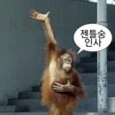 숭인사
