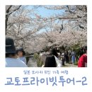 (주)유래메디칼 지점 | 교토 벚꽃 여행 ② :: 은각사 철학의길 청수사 프라이빗 투어 후기 (feat. 일본에서 가장 예쁜 벚꽃길)