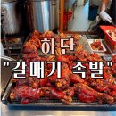 하단동010 | 부산 족발 맛집 “갈매기 족발” 방문 포장 후기