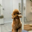 반야시스터 이미지