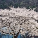 중리체육공원 티스토리