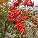 남천식품 이미지