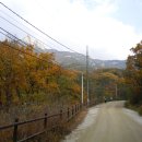 () 오랜 세월 잠겨져 있던 아름다운 고갯길, 북한산 우이령 늦가을 나들이 ~~~ (우이령길) 이미지