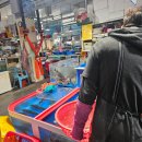 오복횟집 | [경남 삼천포] 삼천포용궁수산시장 오복횟집 방어회 솔직후기