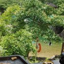 장각폭포 공중화장실 이미지