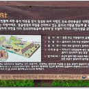 금진가든 Daum카페