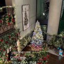 해어름베이커리 | 당진 크리스마스 카페 <해어름베이커리> 내돈내산 후기🍰🎄