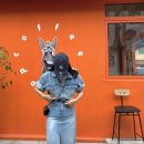 헬로동키 이미지