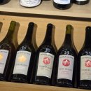 건수농장 | Valentin Morel (Les Pieds Sur Terre, 발렌틴 모렐, 레 피에 쉬흐 테흐) 쥐라 소규모 인기와이너리 4종...