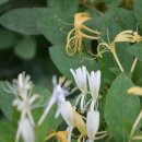 이안한방병원 이미지