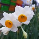 이기한농장 이미지