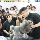 킴스애견미용 이미지