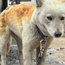 의성동물병원 이미지