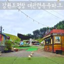 주주하우스 | 강원도 평창 가볼만한곳 대관령주주파크 애견동반 후기