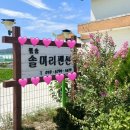 울진솔펜션 이미지