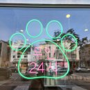 반려동물 수제간식 이미지