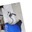 감사세탁 이미지