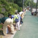 장수서창동 주민센터 이미지