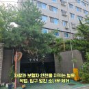 무성상사 | 영등포벌목업체 소나무전지작업