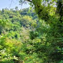 저지오름주차장 이미지