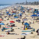 캘리포니아 이미지