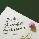 감성 일러스트 캘리그라피 이미지