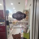 씨유펫인천 - 서구 고래울로 30 | 씨유펫인천