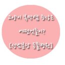 캐비어동물메디컬센터 | 고양이 복막염 증상은 어떤것들이?[성남분당 동물병원]
