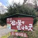 선뷰펜션 | [충주] 캠핑장 퀸스타운 / 서울에서 두시간반 7층 신선뷰 극락캠핑 후기